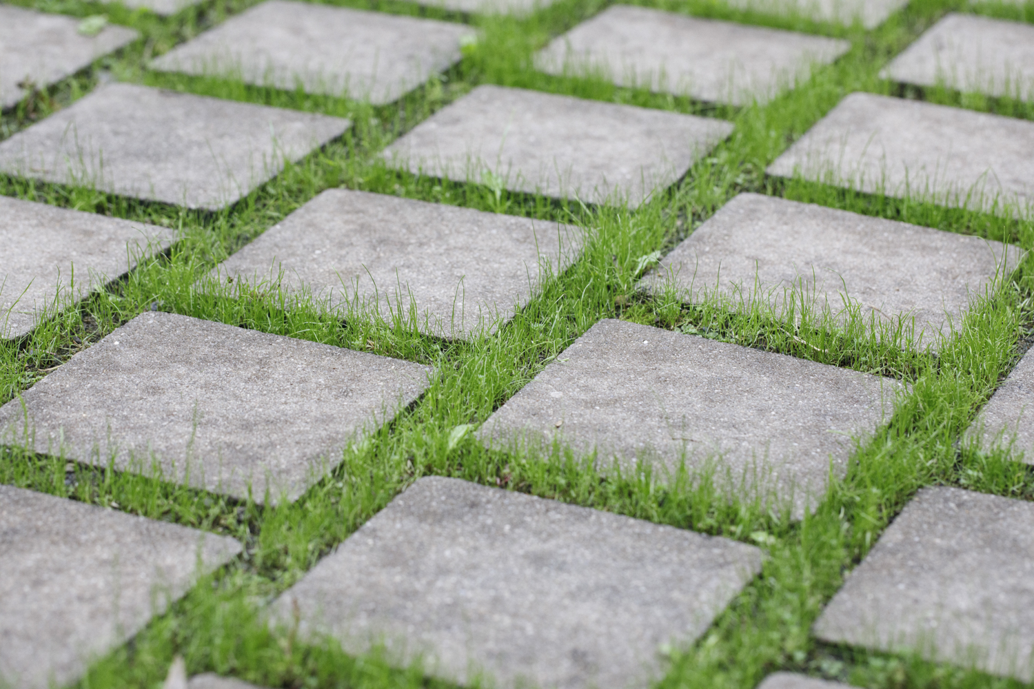 Zwischen den Pflastersteinen im Innenhof wachsen Pflanzen