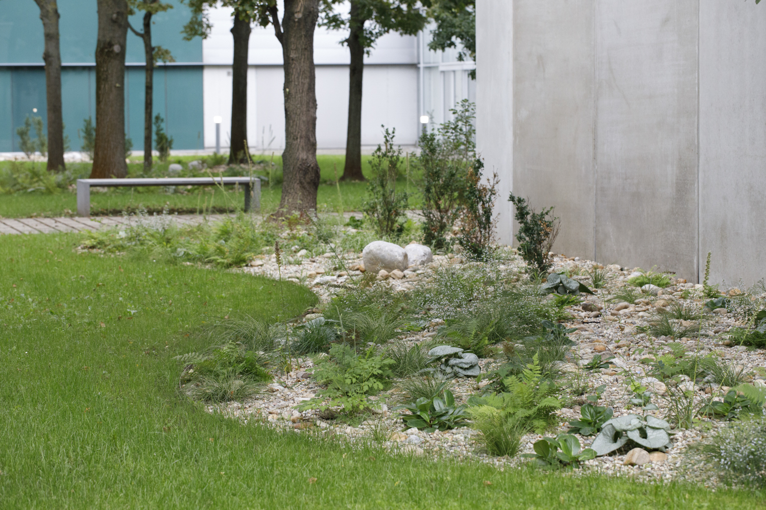 Blick auf den Innnenhof mit einem dekorativ gestalteten, begrünten Kiesgarten