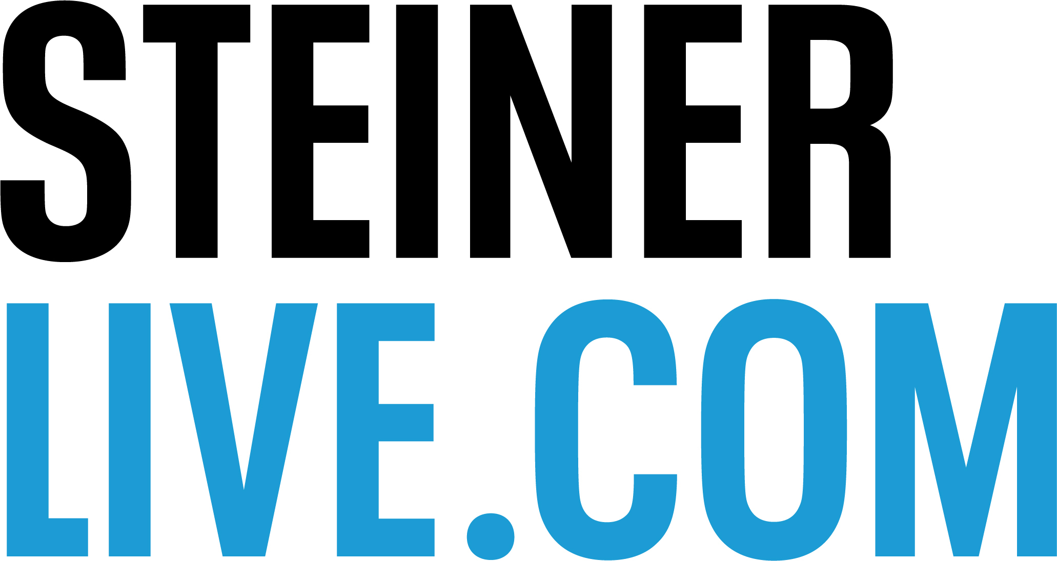 Logo Steiner Live
